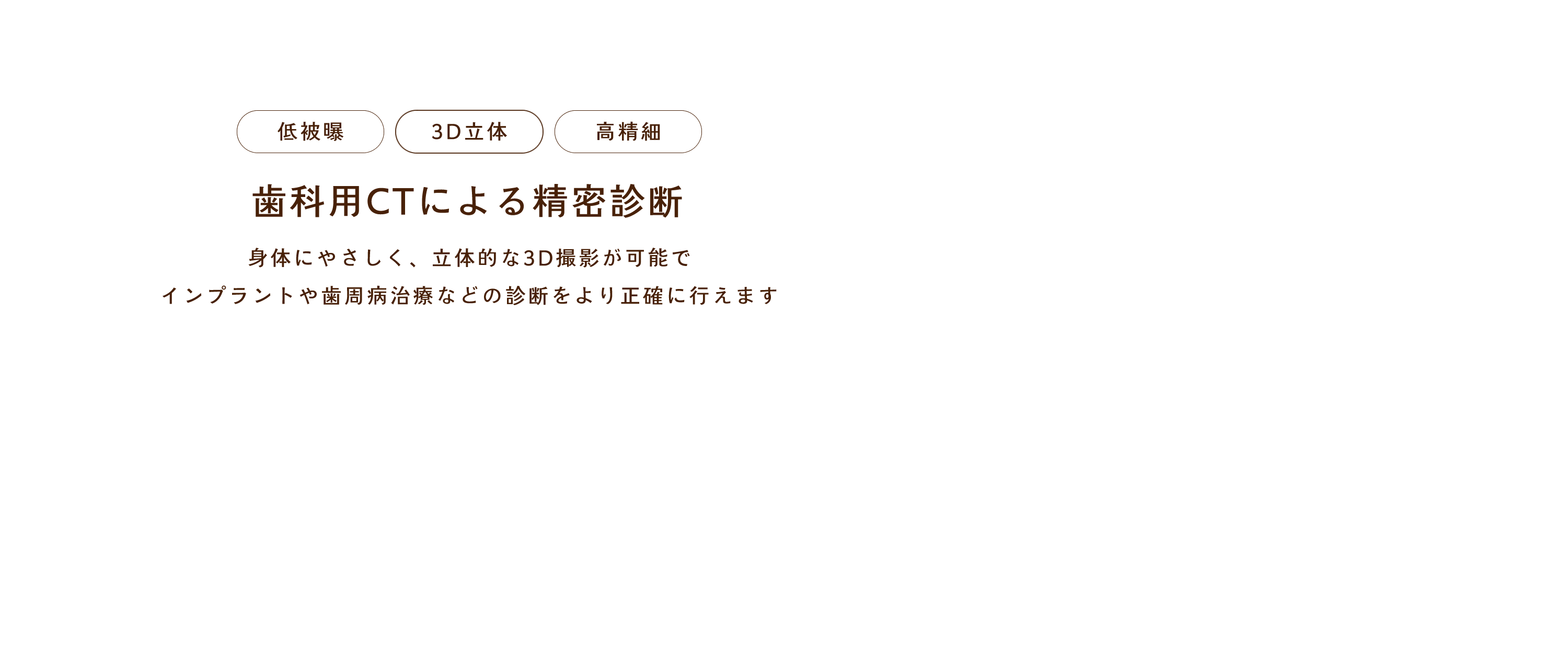 歯科用CTによる精密診断。身体にやさしく、立体的な3D撮影が可能でインプラントや歯周病治療などの診断をより正確に行えます。